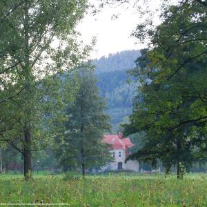 Park pałacowy w Miłkowie - park palacowy w milkowie 7