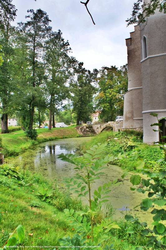 Park pałacowy w Karpnikach - park palacowy w karpnikach 5