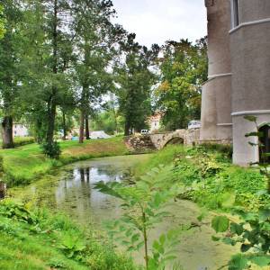 Park pałacowy w Karpnikach - park palacowy w karpnikach 5