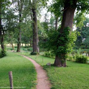 Park pałacowy w Karpnikach - park palacowy w karpnikach 7