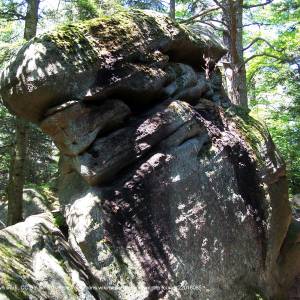 Ścieżka przyrodnicza Folusz - diabli kamien