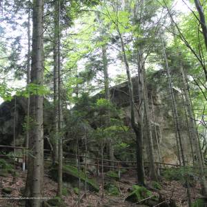 Ścieżka przyrodnicza Folusz - folusz diabli kamien 2018 p05