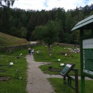 Ogród ziół i krzewów karkonoskich - ogrod ziol i krzewow karkonoskich 6