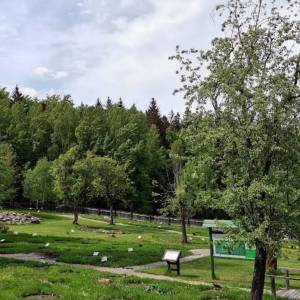 Ogród ziół i krzewów karkonoskich - ogrod ziol i krzewow karkonoskich 7