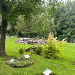 Ogród ziół i krzewów karkonoskich - ogrod ziol i krzewow karkonoskich 8