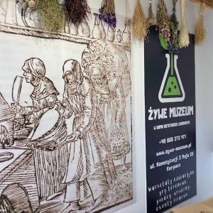 Dom Ostatniego Laboranta w Karpaczu - domu ostatniego laboranta w karpaczu 3