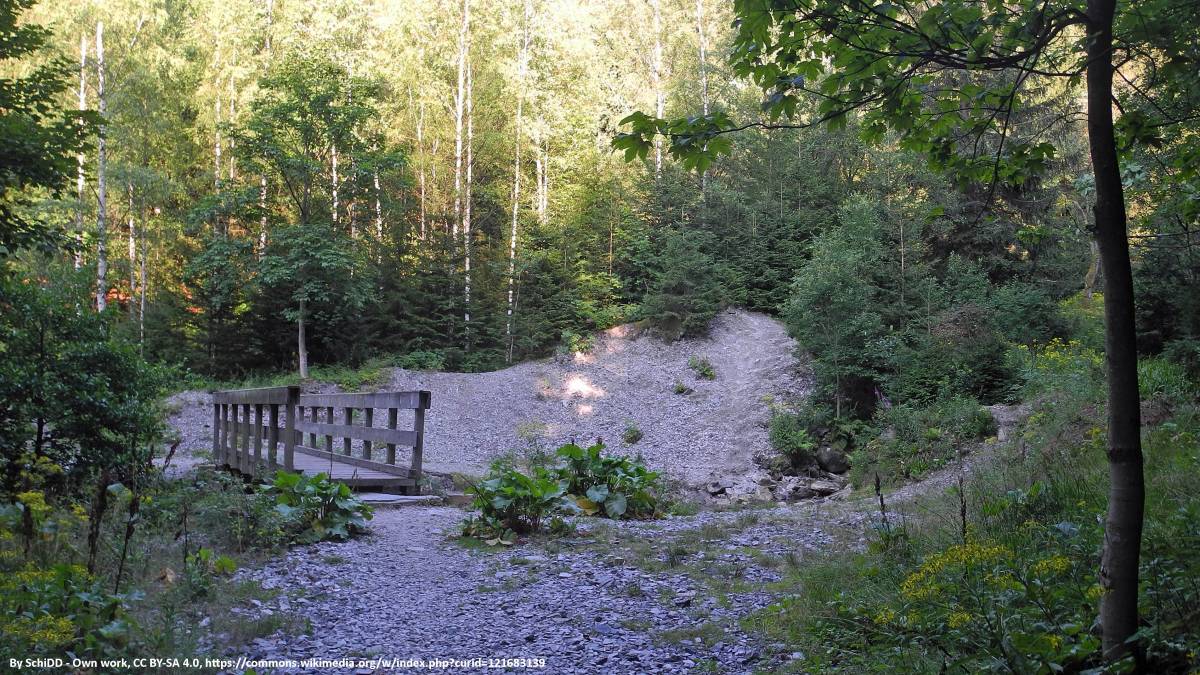 Dawna osada Budniki w Karkonoszach - dawna osada budniki w karkonoszach 8