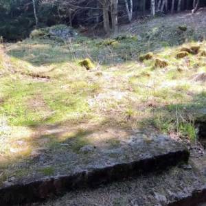 Ruiny Schroniska-Gospody Forstbaude - ruiny schroniska gospody forstbaude 1