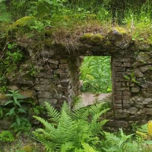 Ruiny Schroniska-Gospody Forstbaude - ruiny schroniska gospody forstbaude 2