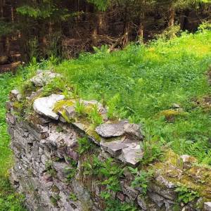 Ruiny Schroniska-Gospody Forstbaude - ruiny schroniska gospody forstbaude 3