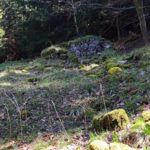 Ruiny Schroniska-Gospody Forstbaude - ruiny schroniska gospody forstbaude 4