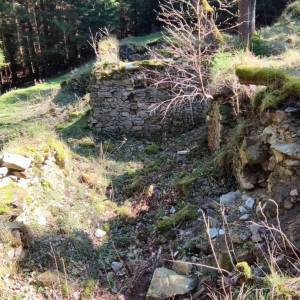 Ruiny Schroniska-Gospody Forstbaude - ruiny schroniska gospody forstbaude 5