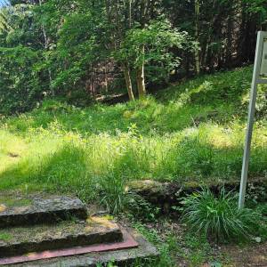 Ruiny Schroniska-Gospody Forstbaude - ruiny schroniska gospody forstbaude 7