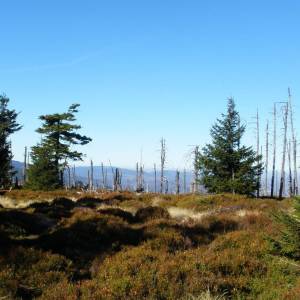 Czoło (1275 m n.p.m.) - czolo 1275 m n p m 1