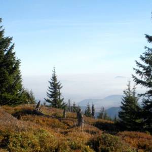 Czoło (1275 m n.p.m.) - czolo 1275 m n p m 6