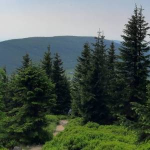 Czoło (1275 m n.p.m.) - czolo 1275 m n p m 7