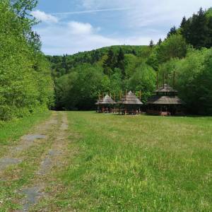 Ścieżka przyrodnicza Kiczera im prof. Jana Rafińskiego - sciezka przyrodnicza kiczera im prof jana rafinskiego13jpg