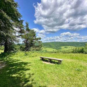 Ścieżka przyrodnicza Kiczera im prof. Jana Rafińskiego - sciezka przyrodnicza kiczera im prof jana rafinskiego14jpg