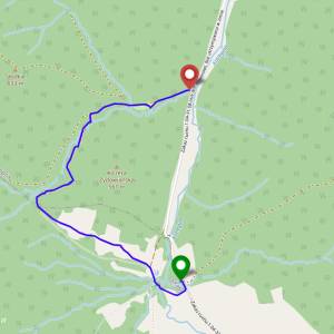 Ścieżka przyrodnicza Kiczera im prof. Jana Rafińskiego - sciezka przyrodnicza kiczera im prof jana rafinskiego2