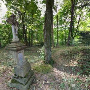 Ścieżka przyrodnicza Kiczera im prof. Jana Rafińskiego - sciezka przyrodnicza kiczera im prof jana rafinskiego4