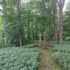 Cmentarz łemkowski w Żydowskim - sciezka przyrodnicza kiczera im prof jana rafinskiego6