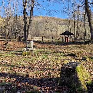 Cmentarz łemkowski w Żydowskim - sciezka przyrodnicza kiczera im prof jana rafinskiego9