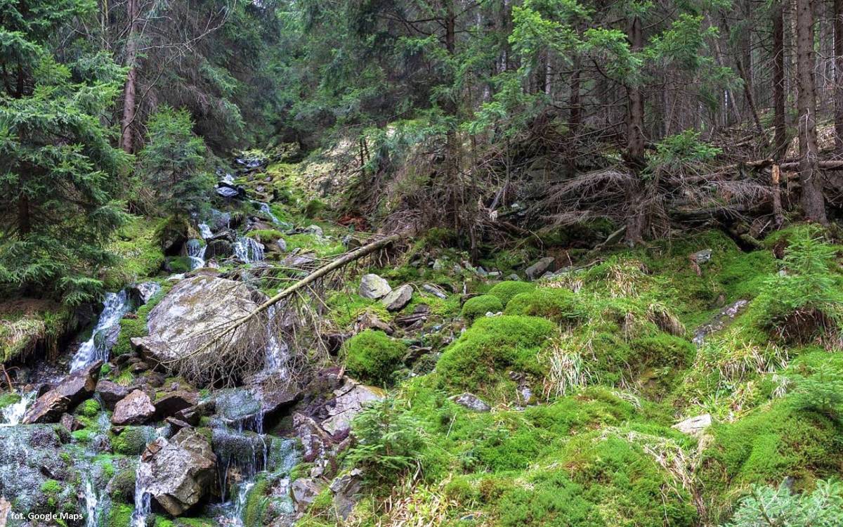 Ponura Kaskada w Karkonoszach - ponura kaskada w karkonoszach 6