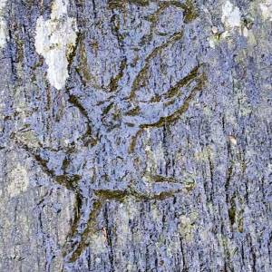 Ponura Kaskada w Karkonoszach - ponura kaskada w karkonoszach 2