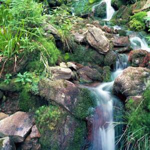 Ponura Kaskada w Karkonoszach - ponura kaskada w karkonoszach 3