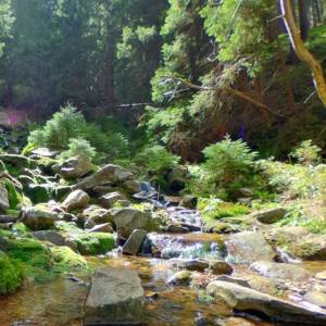 Ponura Kaskada w Karkonoszach - ponura kaskada w karkonoszach 5