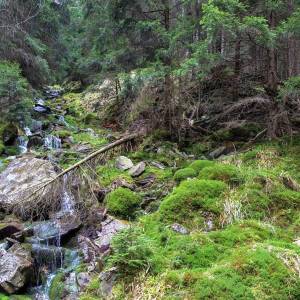 Ponura Kaskada w Karkonoszach - ponura kaskada w karkonoszach 6