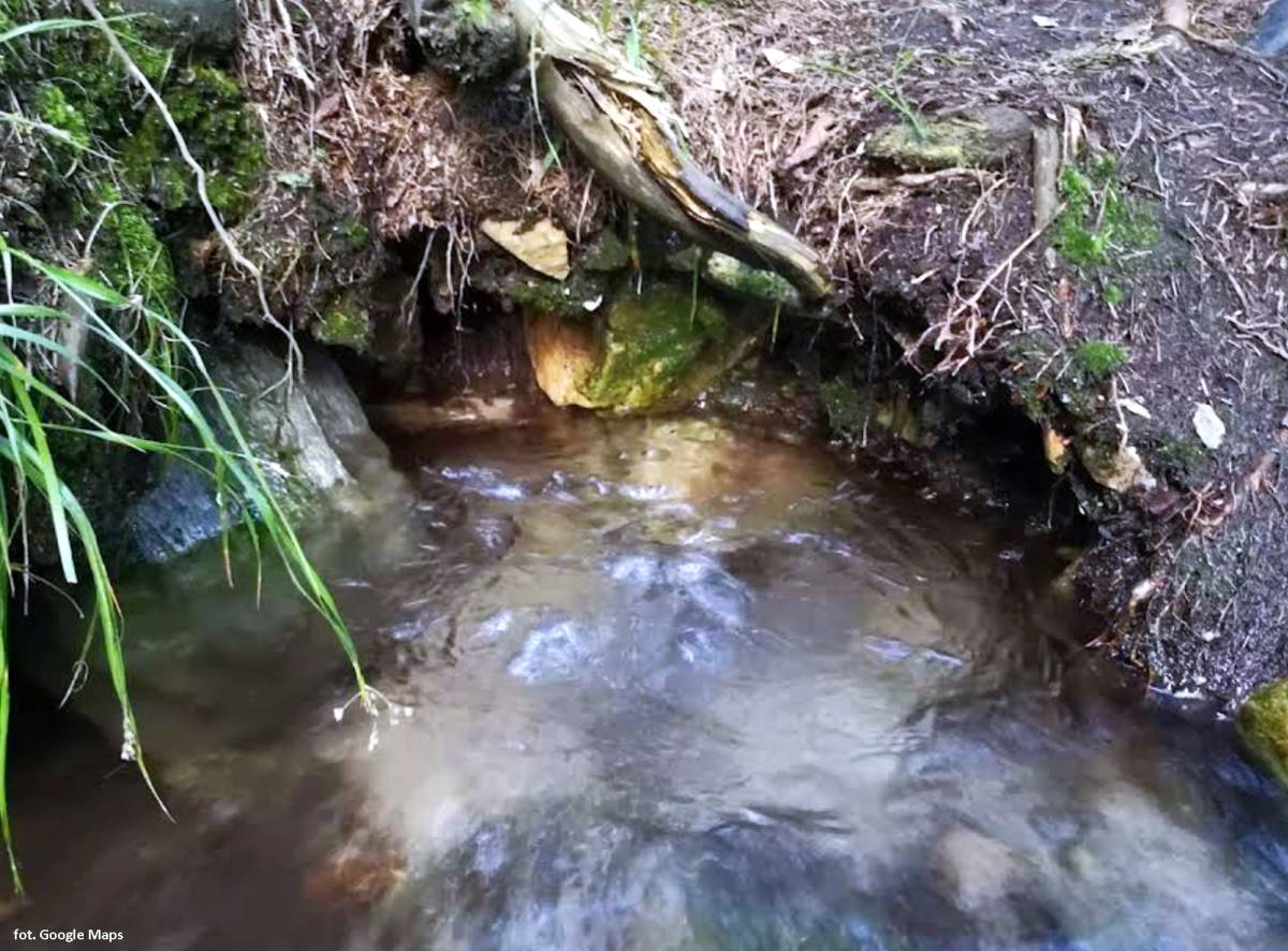 Źródło wody z gazem koło Budnik - zrodlo wody z gazem kolo budnik 4