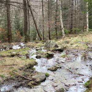 Źródło wody z gazem koło Budnik - zrodlo wody z gazem kolo budnik 1