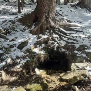 Źródło wody z gazem koło Budnik - zrodlo wody z gazem kolo budnik 2