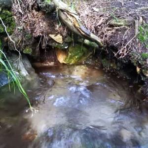 Źródło wody z gazem koło Budnik - zrodlo wody z gazem kolo budnik 4