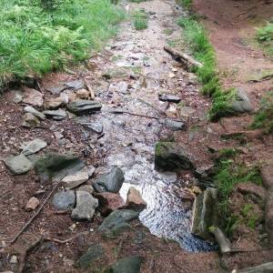 Źródło wody z gazem koło Budnik - zrodlo wody z gazem kolo budnik 5