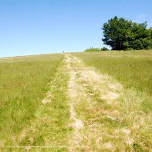 Wysokie (657 m n.p.m.) - wysokie 657 m hb3