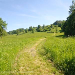 Wysokie (657 m n.p.m.) - wysokie 657 m hb4