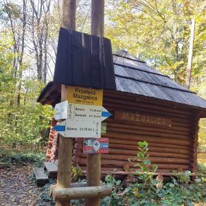 Szlak żółty Przełęcz Mazgalica-Huta Polańska - szlak zolty przelecz mazgalica huta polanska2