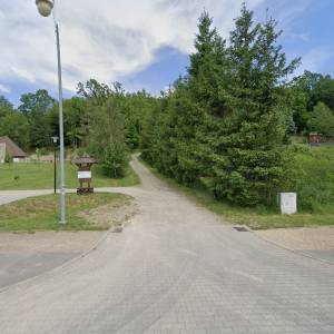 Ścieżka przyrodnicza „Buczynowa” - sciezka przyrodnicza buczynowa2