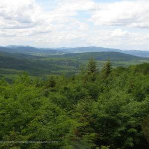 Ścieżka przyrodnicza „Buczynowa” - wapienne wieza widokowa na ferdlu hb4