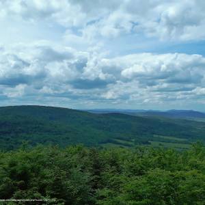 Ścieżka przyrodnicza „Buczynowa” - wapienne wieza widokowa na ferdlu hb5