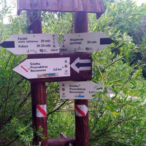 Ścieżka przyrodnicza „Buczynowa” - wieza widokowa na ferdlu5