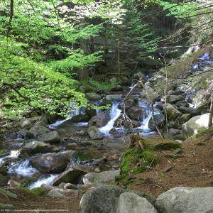 Dolina Łomniczki - dolina lomniczki 7