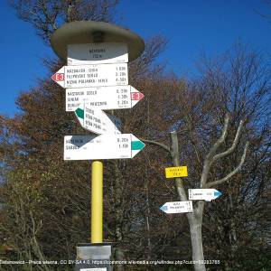 Baranie (754 m n.p.m.) - baranie stavok na szczycie