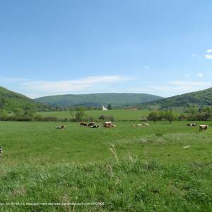 Szlak żółty Tylawa-Baranie - piotrus tylawa 02