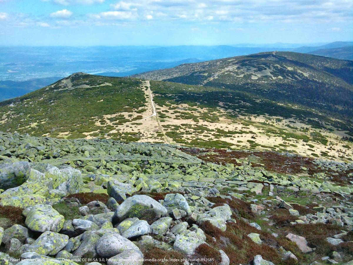 Śląski Grzbiet w Karkonoszach - slaski grzbiet w karkonoszach 6