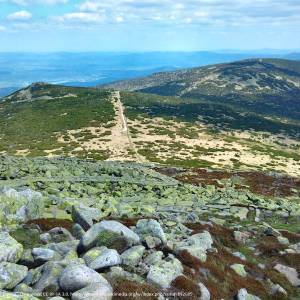 Śląski Grzbiet w Karkonoszach - slaski grzbiet w karkonoszach 6