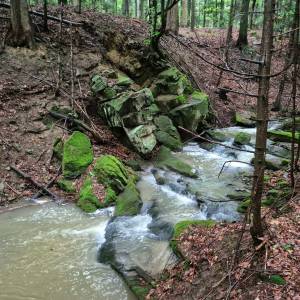 Szlak żółty Mrukowa-Trzy Kopce - szlak zolty mrukowa trzy kopce2