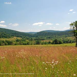 Szlak żółty Folusz-Konieczna - wolowiec beskid niski hb1